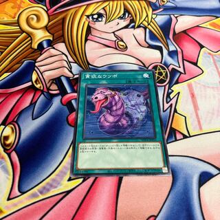 貪欲なウツボ ノーマル WPP4-JP059