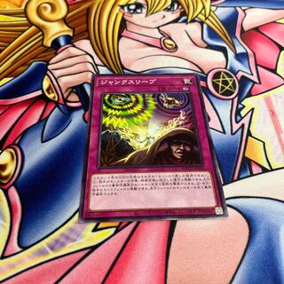 Junk Sleep Normal rare JP080