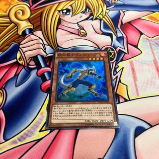 Coach Soldier Wolfbark Super Rare JP021