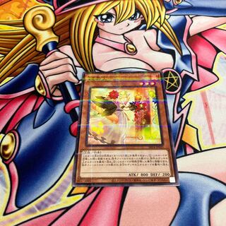 Firebrand Hymnist Parallel Normal SR14-JP021