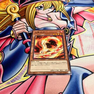 Fencing Fire Ferret Normal SR14-JP020