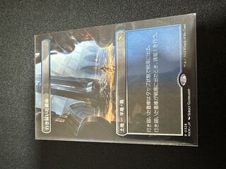 MTG 行き届いた書庫　日foil 2枚セット　未使用品 MTGマジックザギャザリング 行き届いた書庫 日本語版、英語版