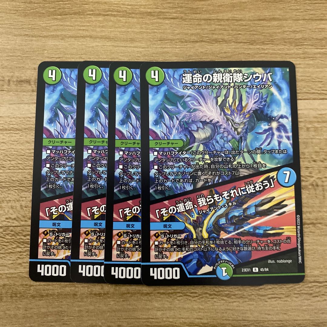 Shiba, SS of Fate|"That fate, we shall follow it" R 45/84