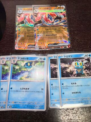 Greninjaex RR 045/066