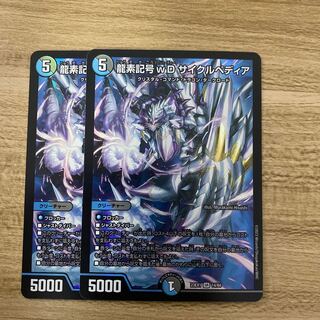 龍素記号wD サイクルペディア SR 14/84