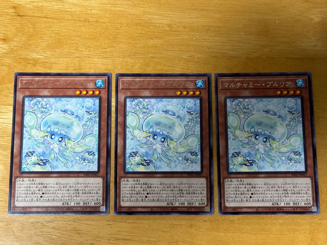 Multyamy Purulia rare INFO-JP027