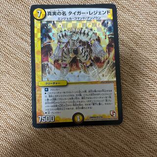 The True Name Tiger Legend VR 2/55