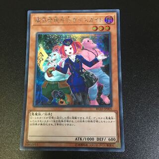 Tour Guide From the Underworld