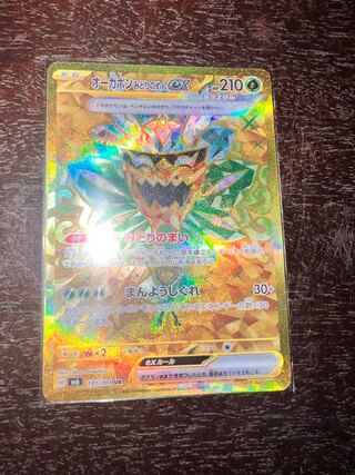 Ogapon Midori-no-men ex UR 131/101