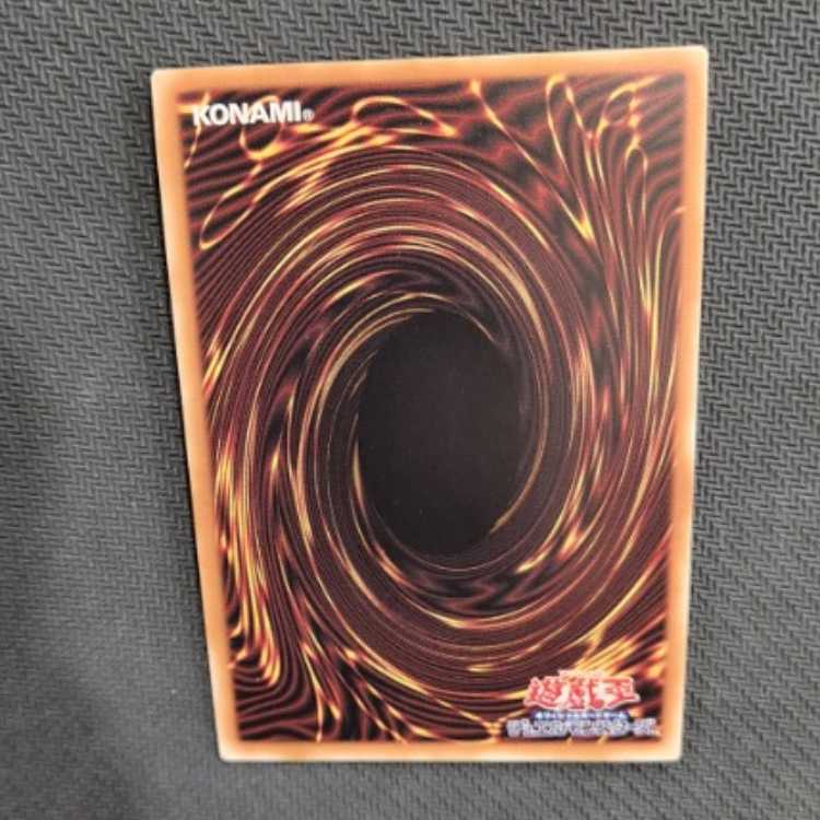 Lysette of the White Forest QCSE, 25th Sikh INFO-JP014 Management 03