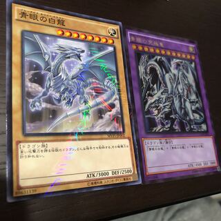 ブルーアイズホワイトドラゴン +おまけ