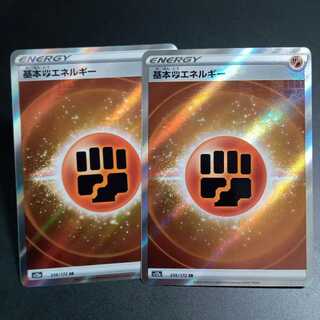 基本闘エネルギー SR 256/172 ×2