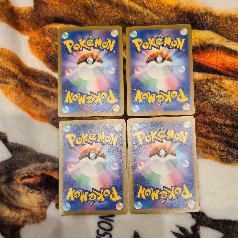 Todorokutsuki R 051/071