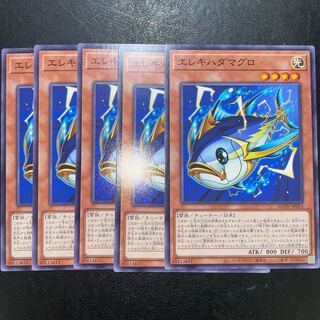 エレキハダマグロ ノーマル JP015