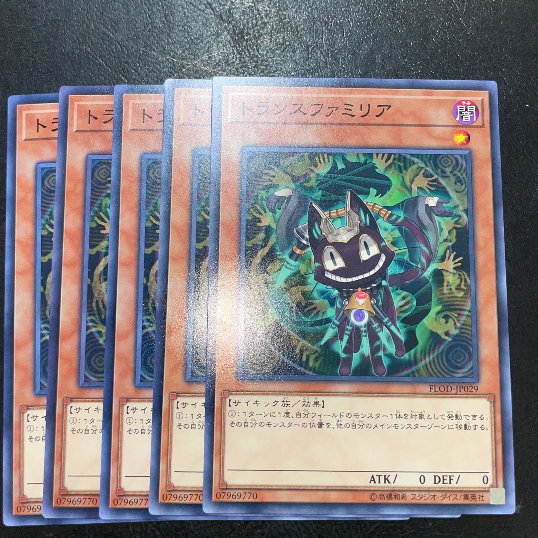 トランスファミリア ノーマル JP029