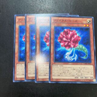 クリスタル・ローズ ノーマル JP012