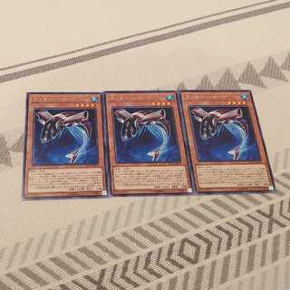 カッター・シャーク