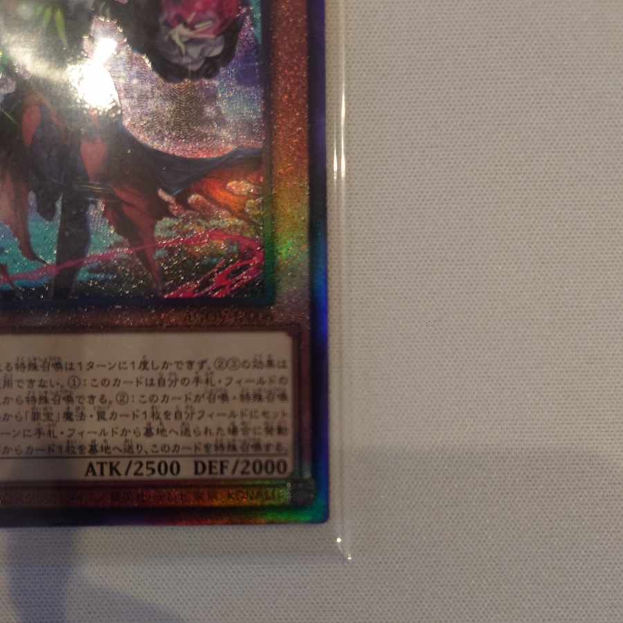 Black Witch Dear Bianca Star