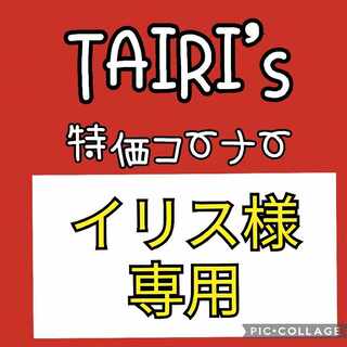 2/2【イリス様専用】オーガポン　みどりのかめん