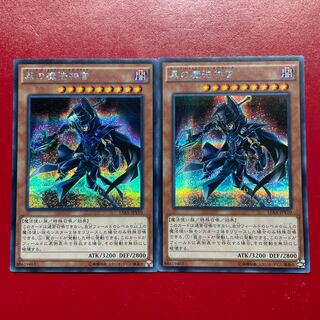 We Tq 黒の魔法神官 シークレットレア JPY10