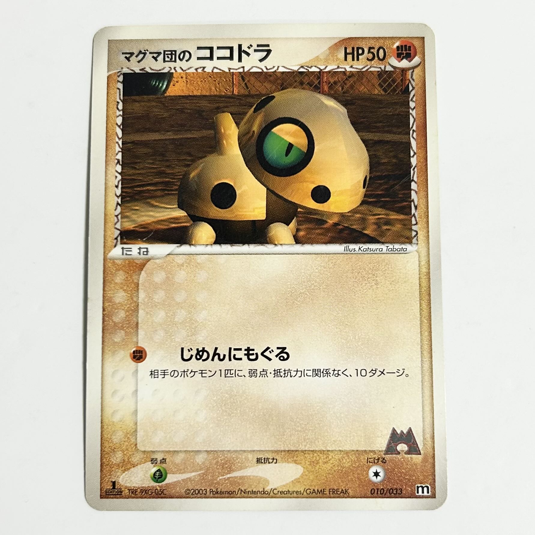 Pokémon Card Magma Dan Aron 010/033