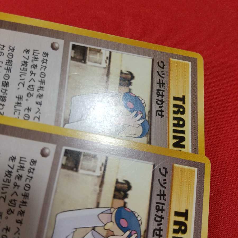 ウツギはかせ 2枚セット