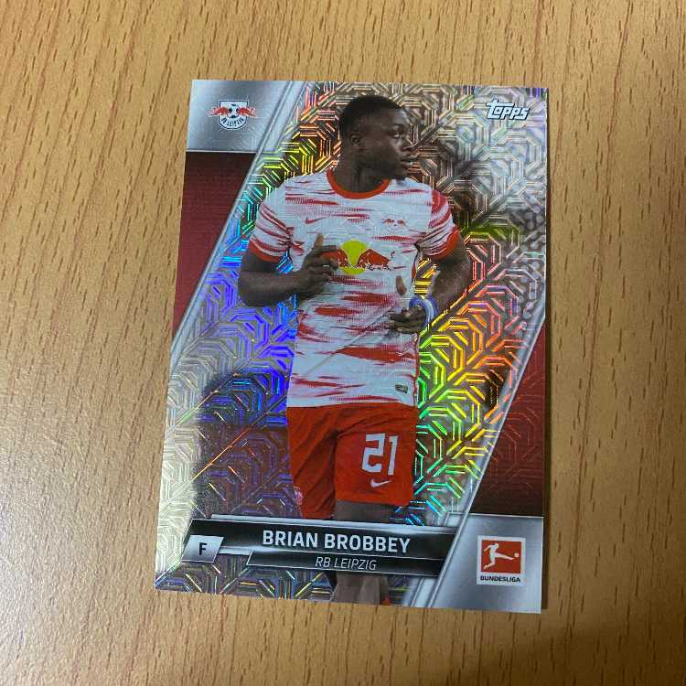 BRIAN BROBBEY reflector