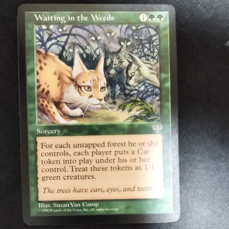 Waiting in the Weeds 1枚