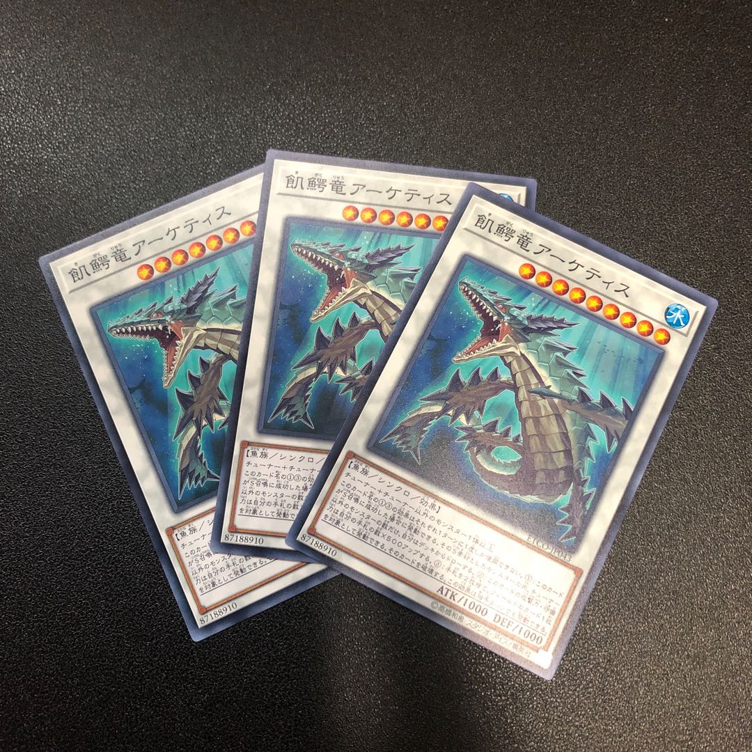 【N】飢鰐竜アーケティス【ノーマル】