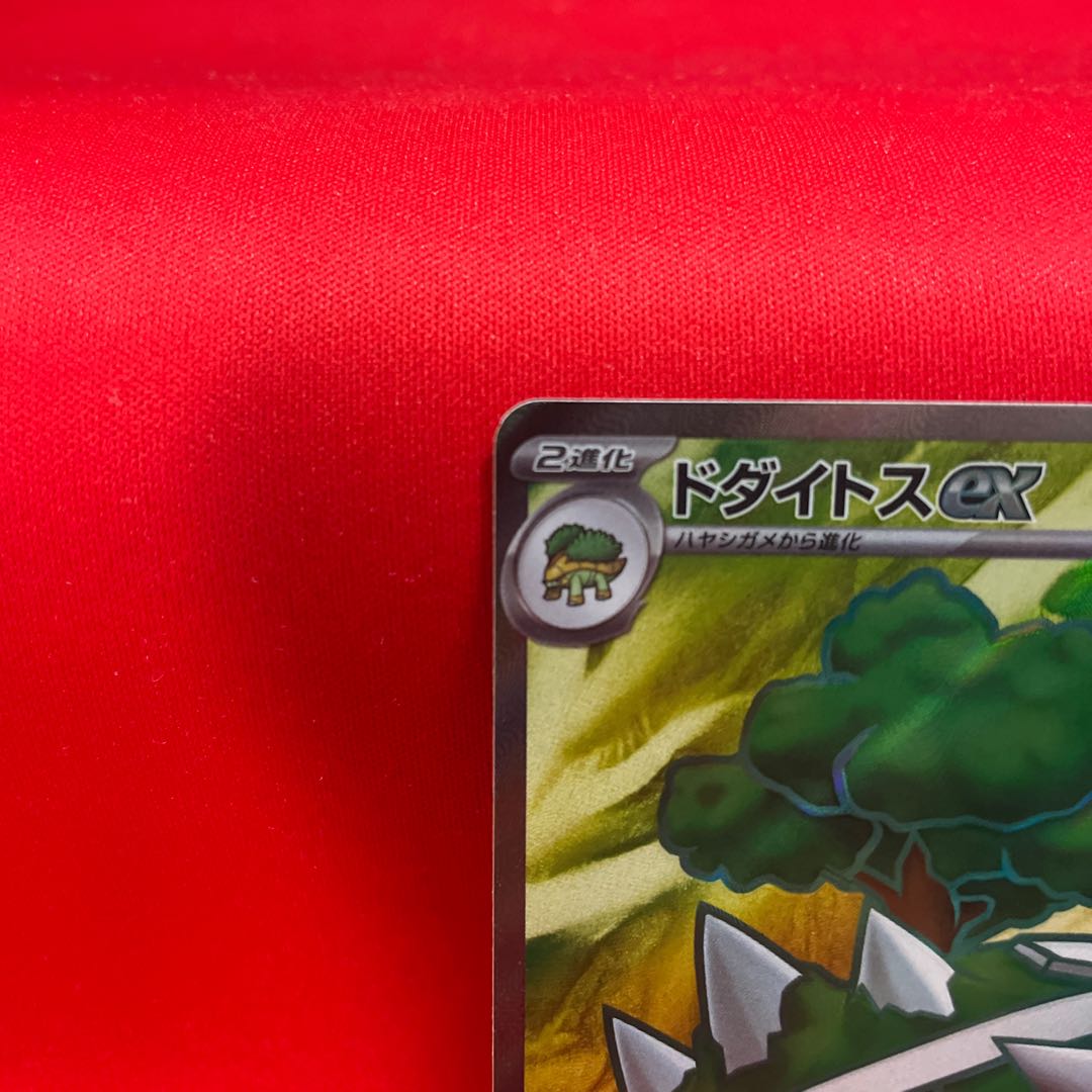 Torterraex SR 084/071