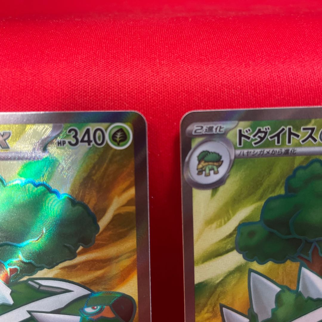 Torterraex SR 084/071