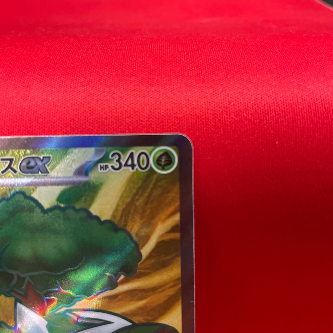 Torterraex SR 084/071