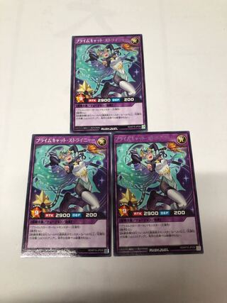 Prime Cat Stryinya, set of 3