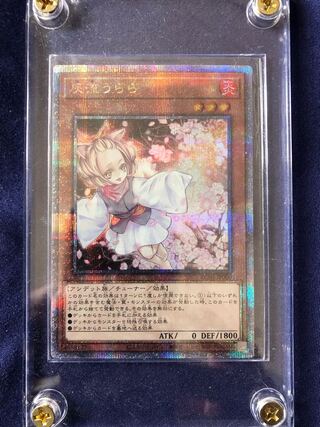 やんち様専用、uzimozi オリパ6月スタート50パック