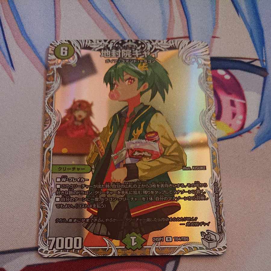 地封院ギャイ R 12/16