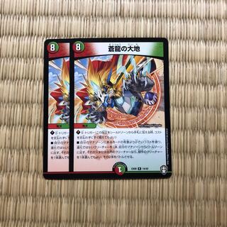 専用　蒼龍の大地　2枚