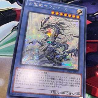 Sauravis, the Ancient and Ascended Asiatic