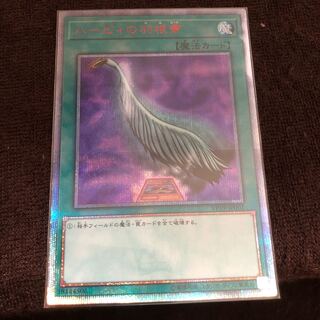 ハーピィの羽根帚 20thSE