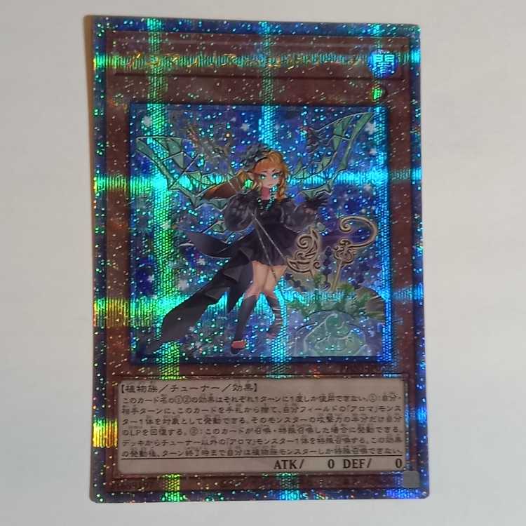 Alomari Squirrel-Rosalina QCSE, 25th Sikh PHNI-JP022