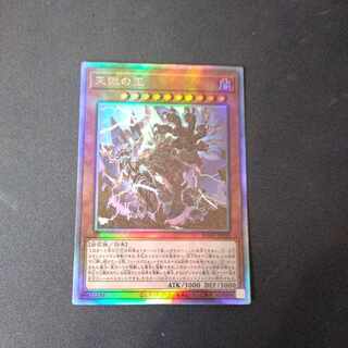 Lord of the Heavenly Prison holographic rare JP030