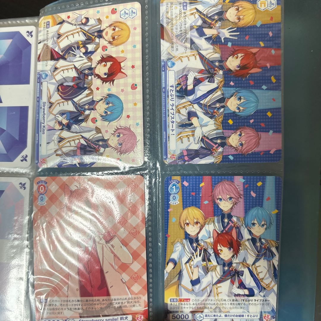 in a slipping or sliding door