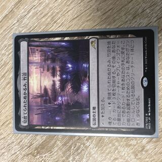 見捨てられたぬかるみ、竹沼