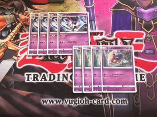 カラマネロ マーイーカ 各4枚