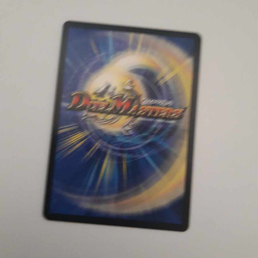 ブレイン・スラッシュ R 24/75