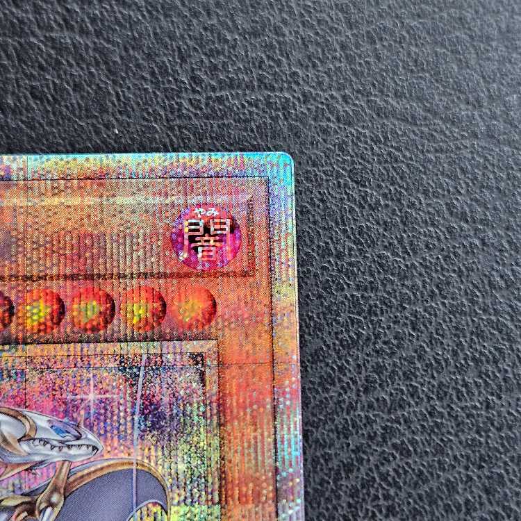 Dragon of Pride and Soul QCSE, 25th Sikh INFO-JP000