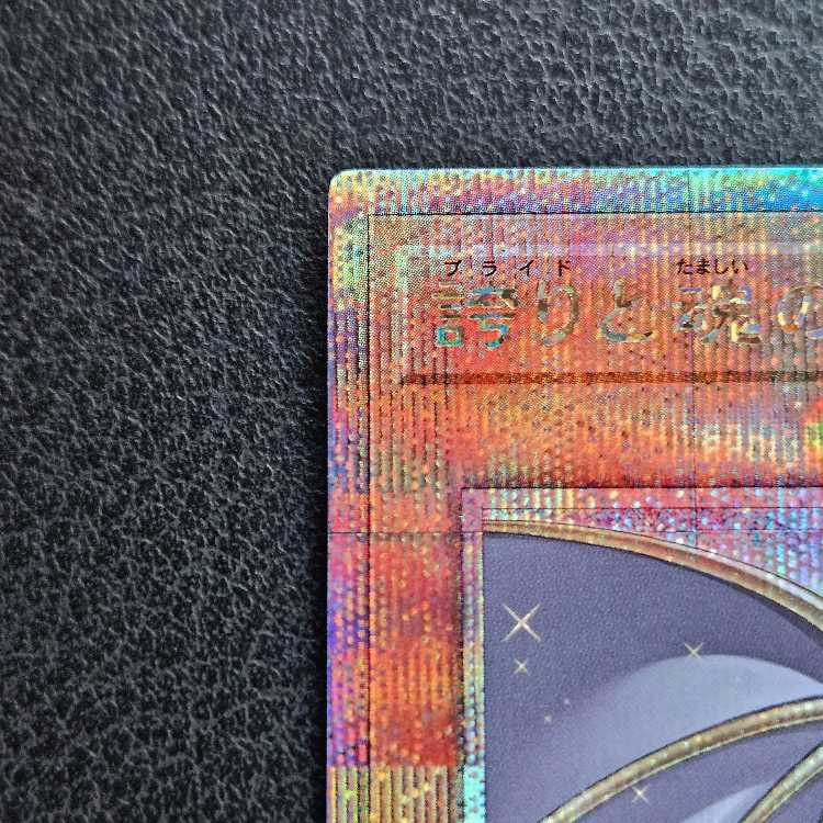 Dragon of Pride and Soul QCSE, 25th Sikh INFO-JP000