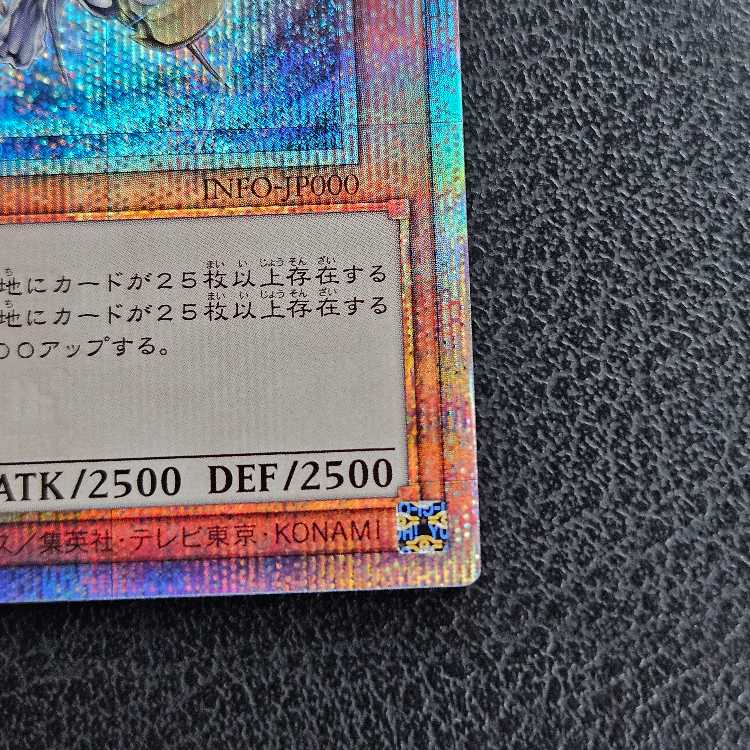 Dragon of Pride and Soul QCSE, 25th Sikh INFO-JP000