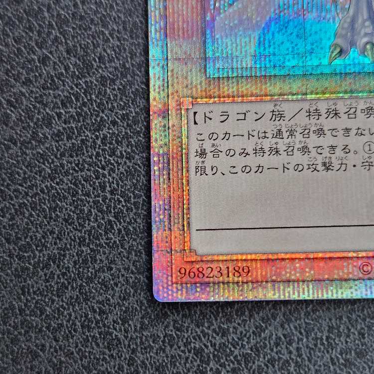 Dragon of Pride and Soul QCSE, 25th Sikh INFO-JP000