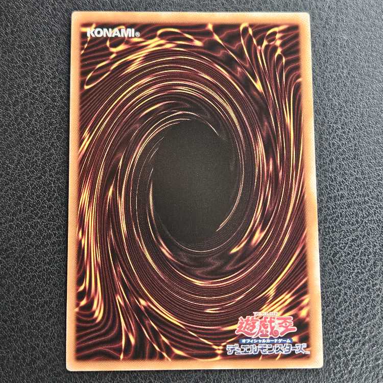 Dragon of Pride and Soul QCSE, 25th Sikh INFO-JP000