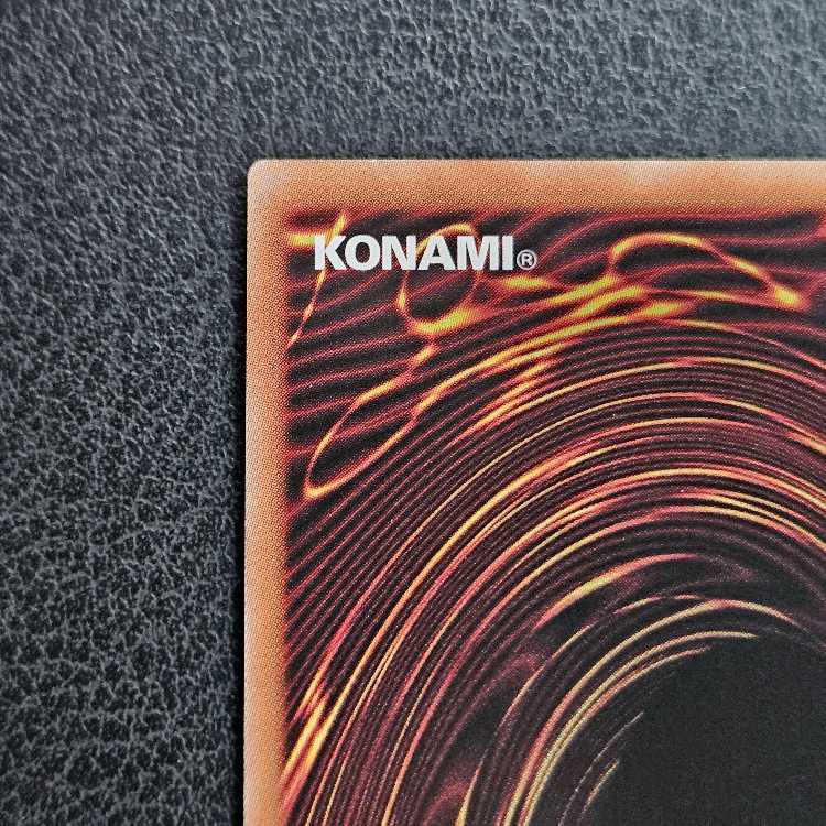 Dragon of Pride and Soul QCSE, 25th Sikh INFO-JP000